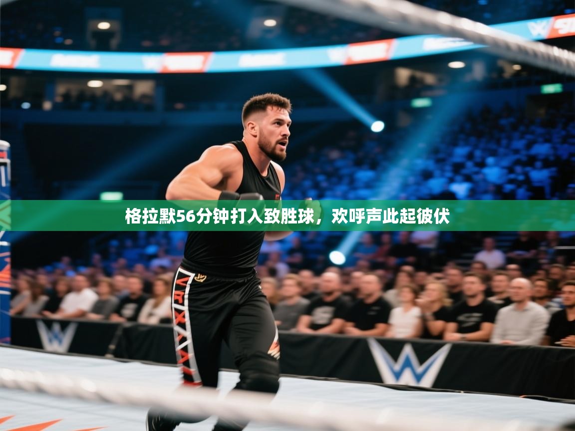 格拉默56分钟打入致胜球,欢呼声此起彼伏 第1张
