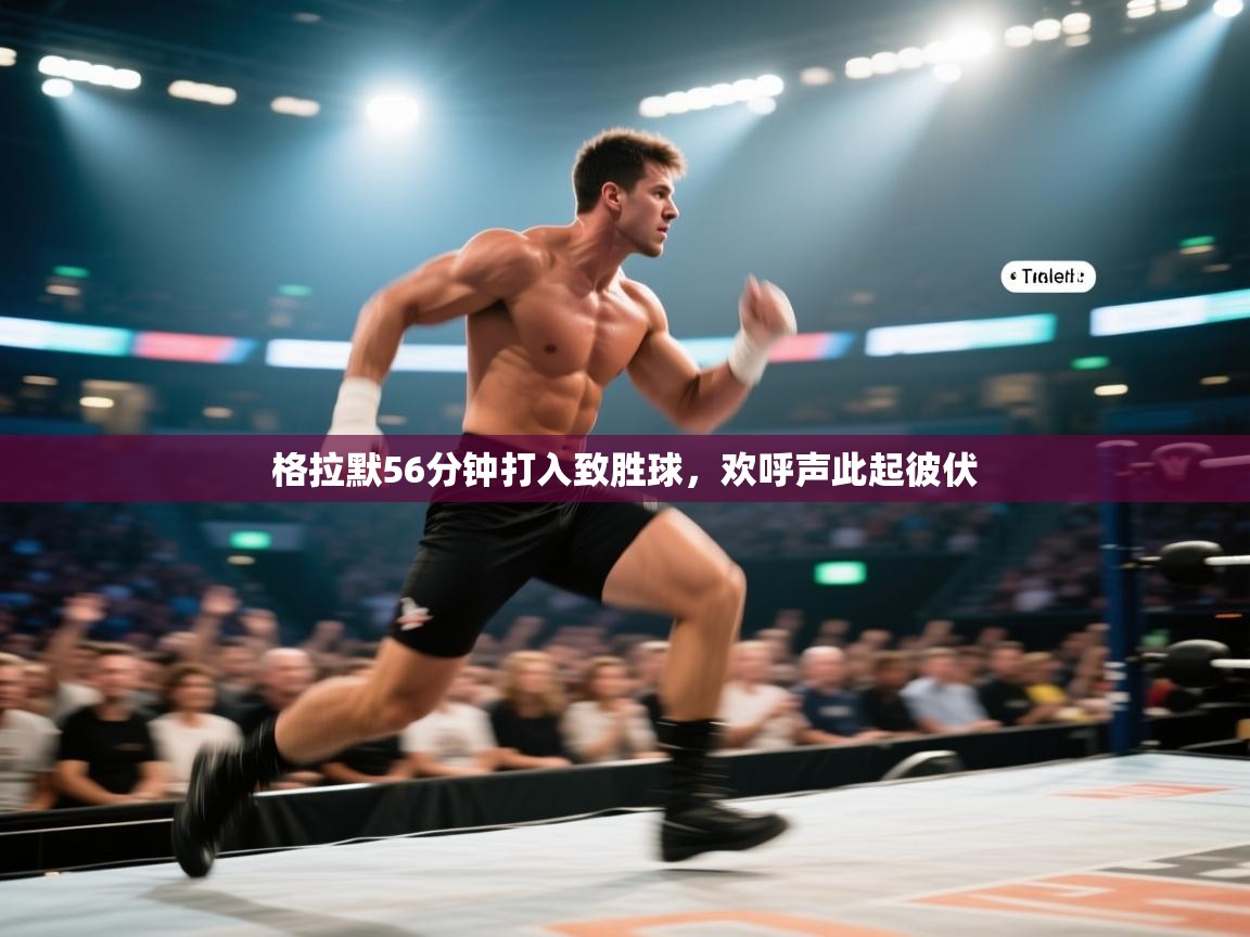 格拉默56分钟打入致胜球,欢呼声此起彼伏 第2张