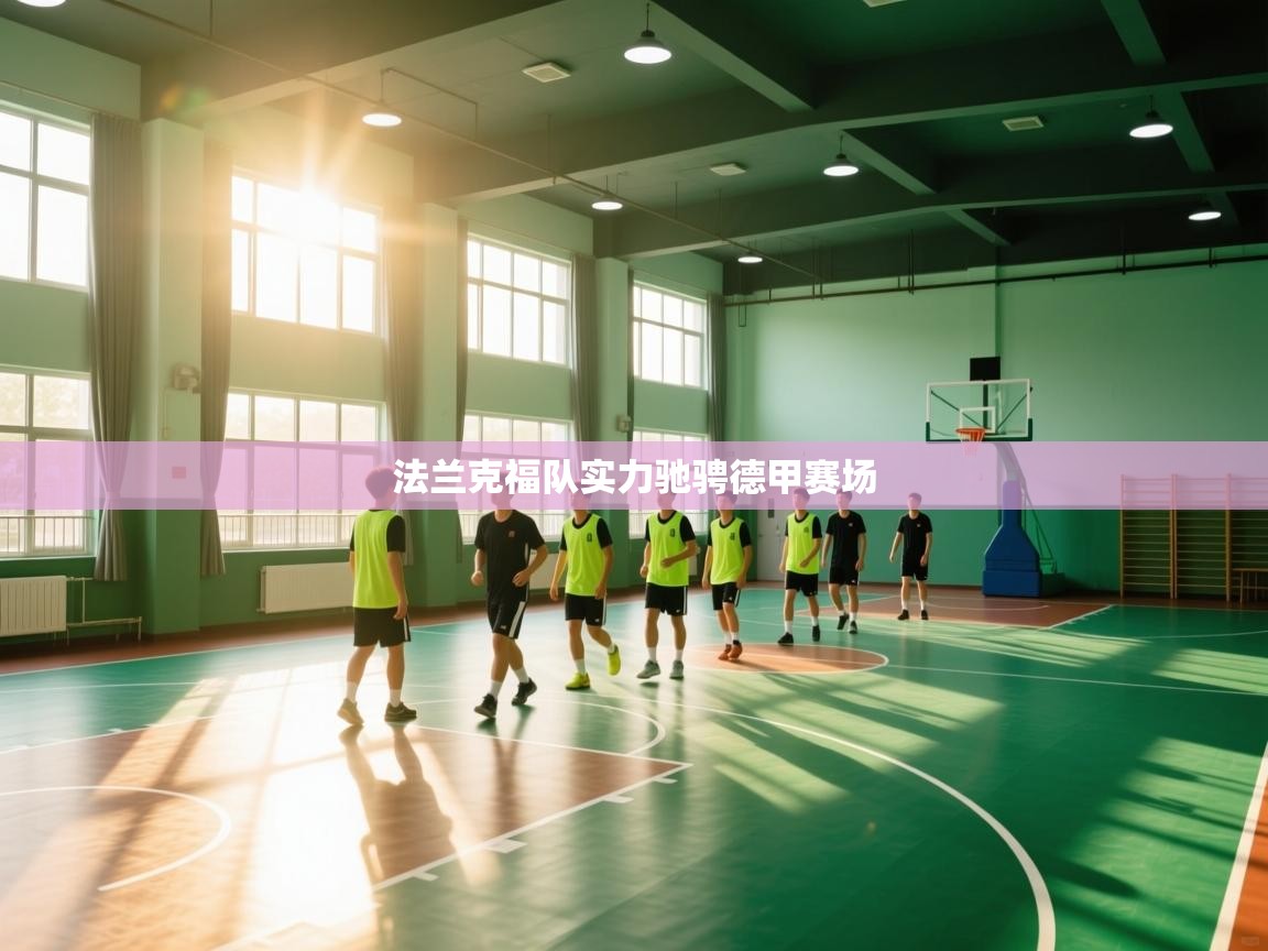 法兰克福队实力驰骋德甲赛场  第1张