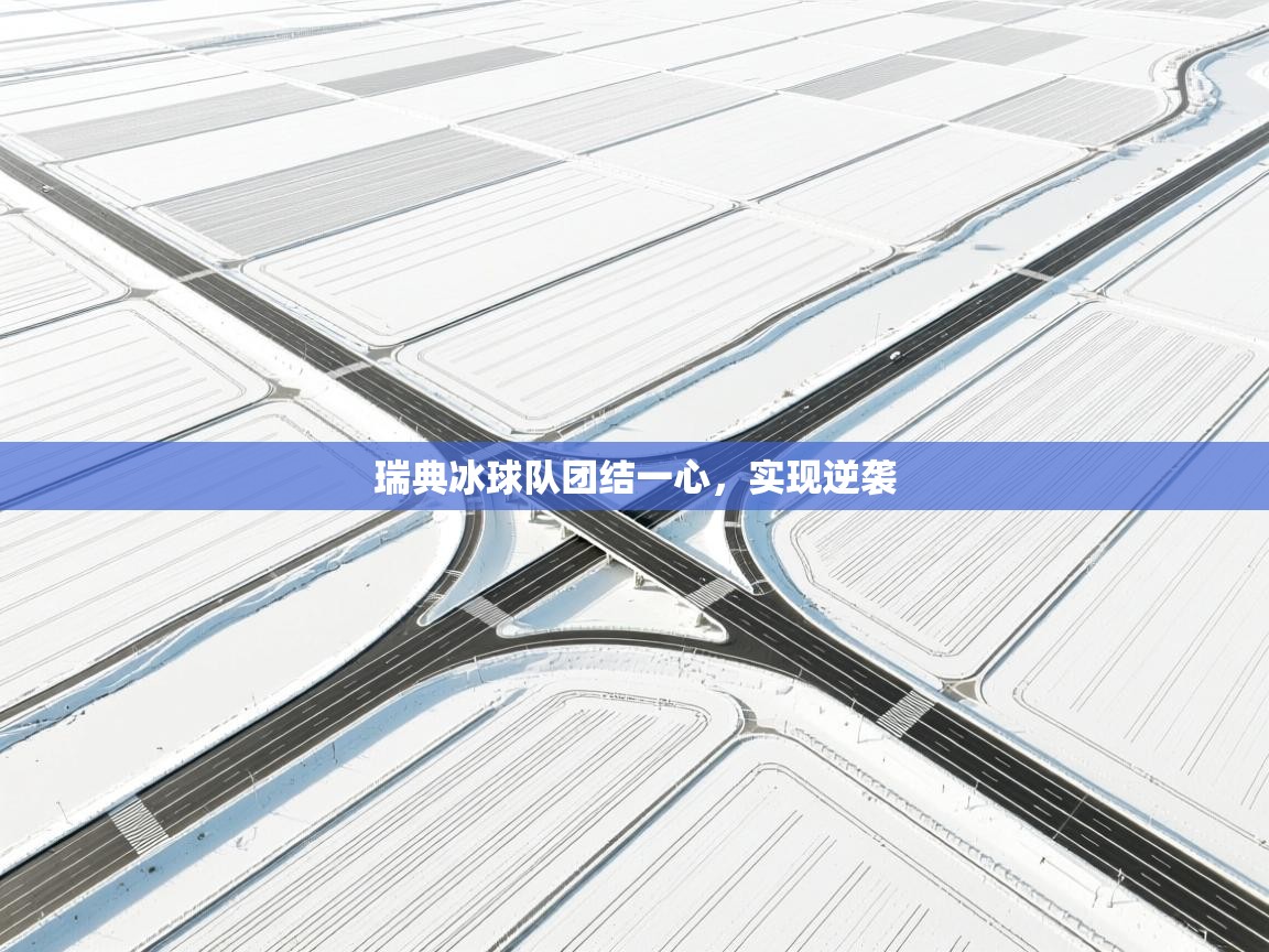 瑞典冰球队团结一心,实现逆袭 第2张