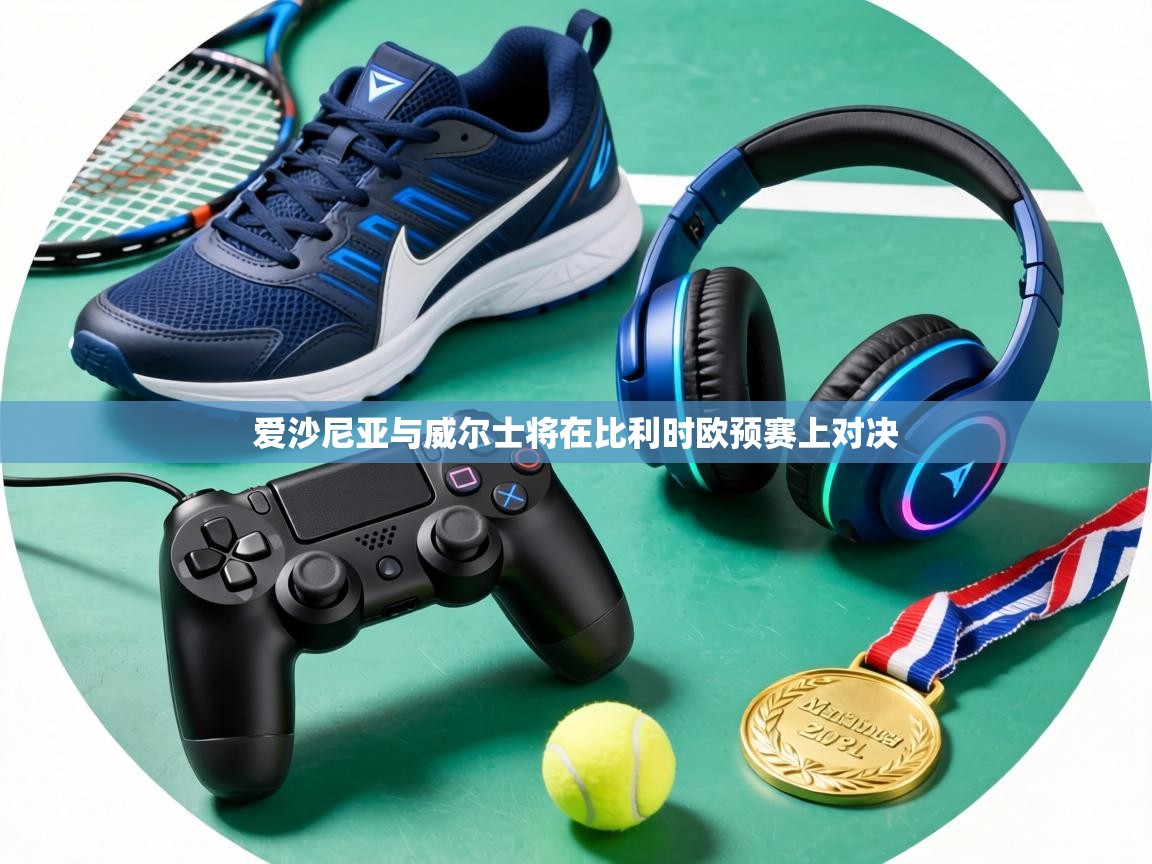 爱沙尼亚与威尔士将在比利时欧预赛上对决 第1张