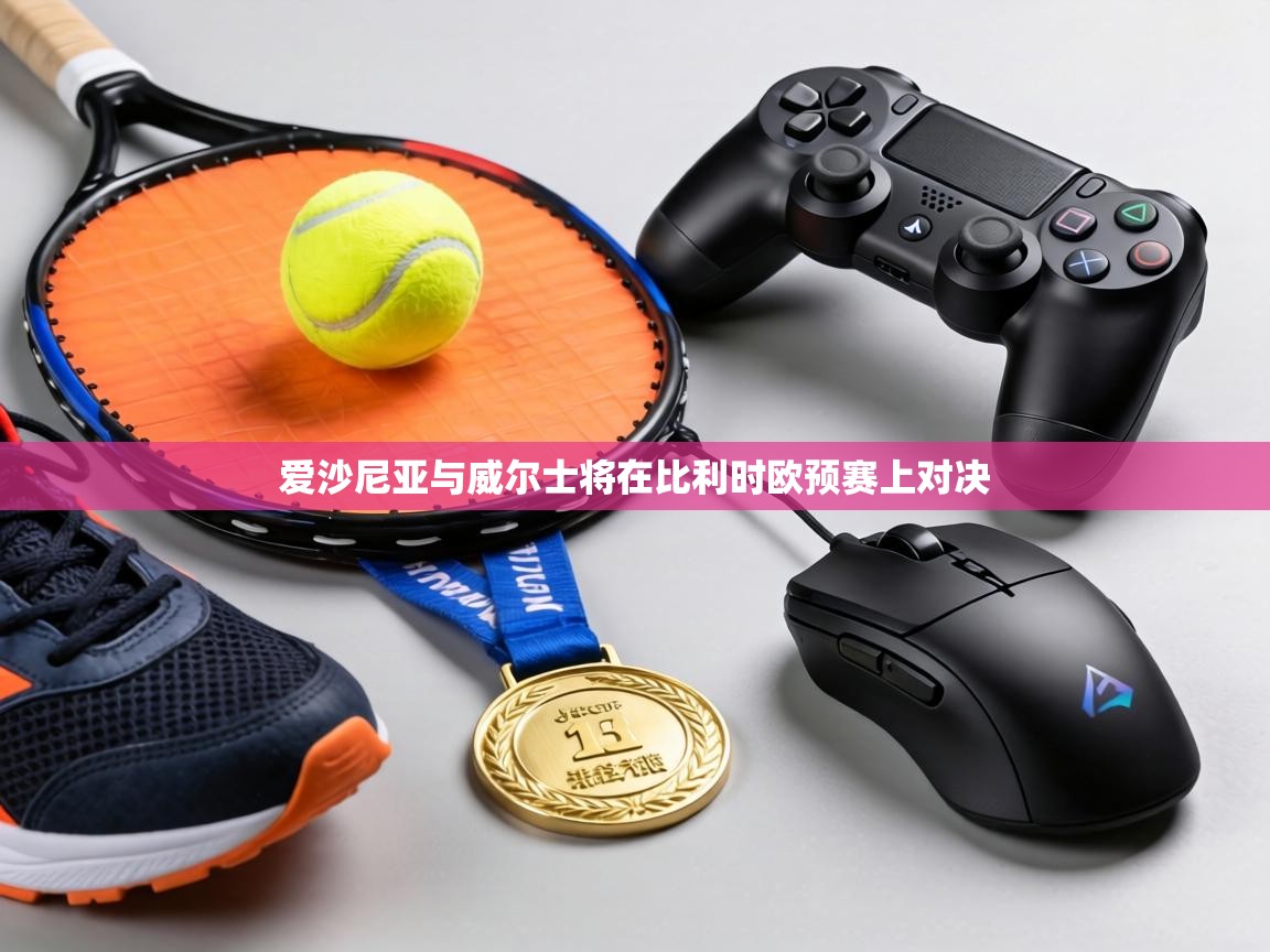 爱沙尼亚与威尔士将在比利时欧预赛上对决 第2张